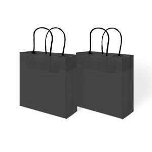 [FP14-3] 컬러 쇼핑백 - BLACK (2매입)